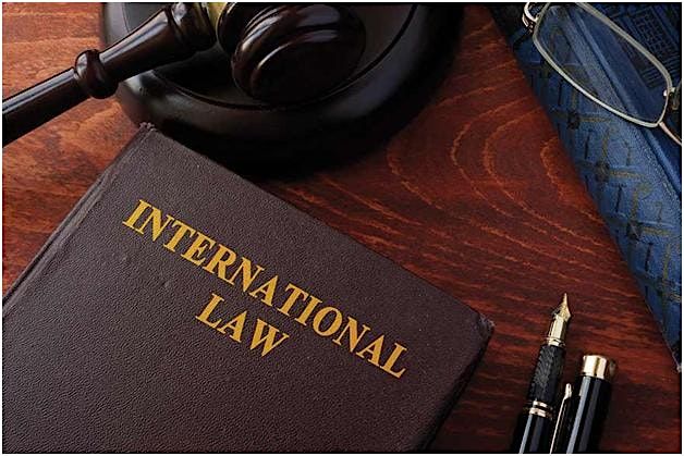International Law as a Profession