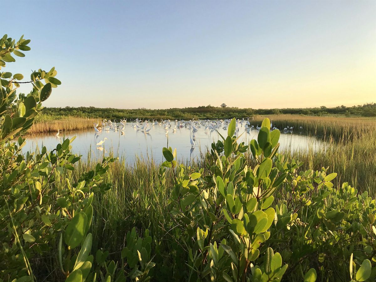 Robinson Preserve Expansion Restoration Tour