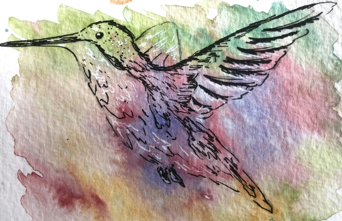 Watercolour techniques to illustrate birds for beginners