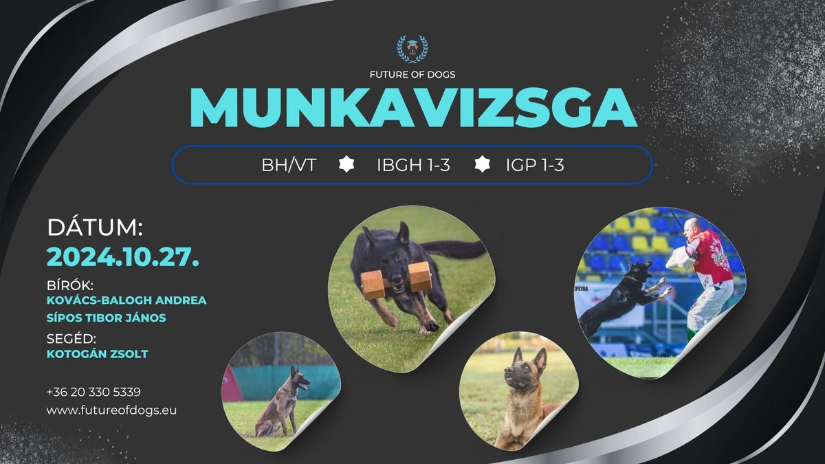 FoD - Munkavizsga