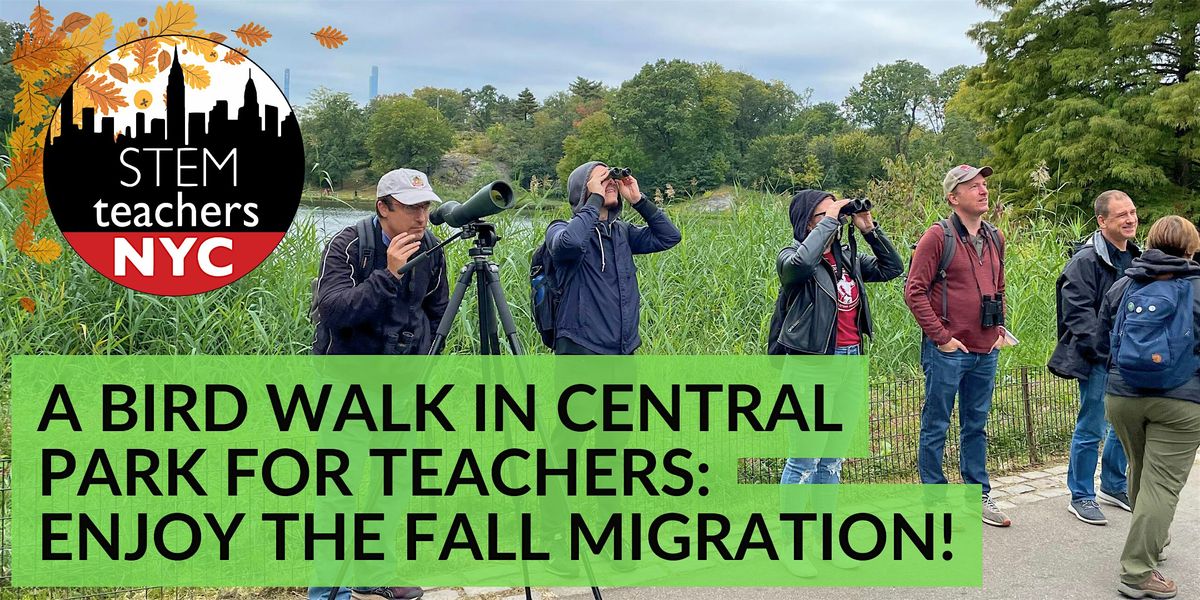 A Bird Walk in Central Park for Teachers: Enjoy the fall migration!