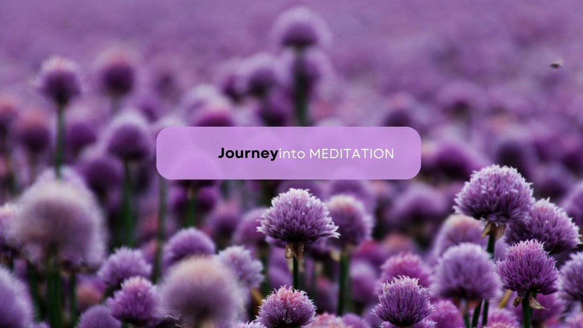 Journey into Meditation