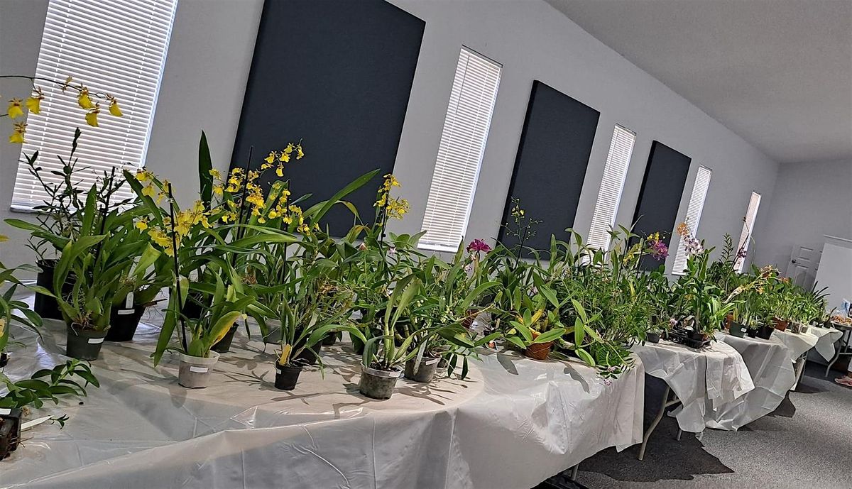 Nature Coast Orchid Society 2025 Annual Auction