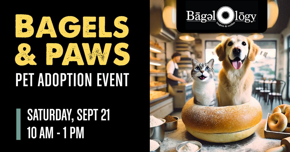 Bagels & Paws Pet Adoption Event @ Bagelology