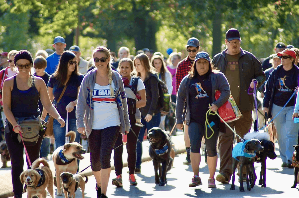 See Spot Walk Kickoff at lululemon Meridian