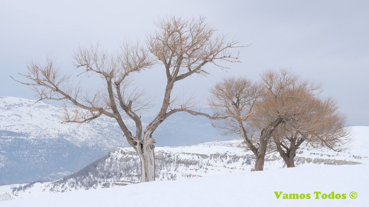 Qanat Bakish Snowshoeing