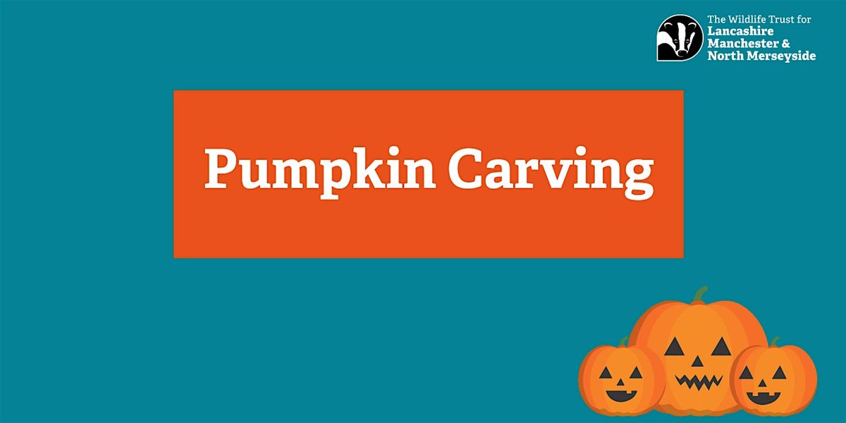 Pumpkin Carving at Brockholes Nature Reserve
