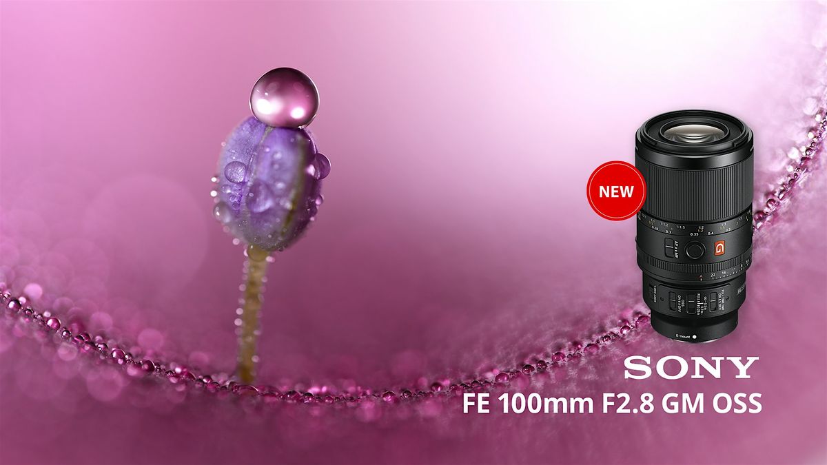 Sony First Look featuring the MACRO FE 100mm f\/2.8 GM OSS Lens