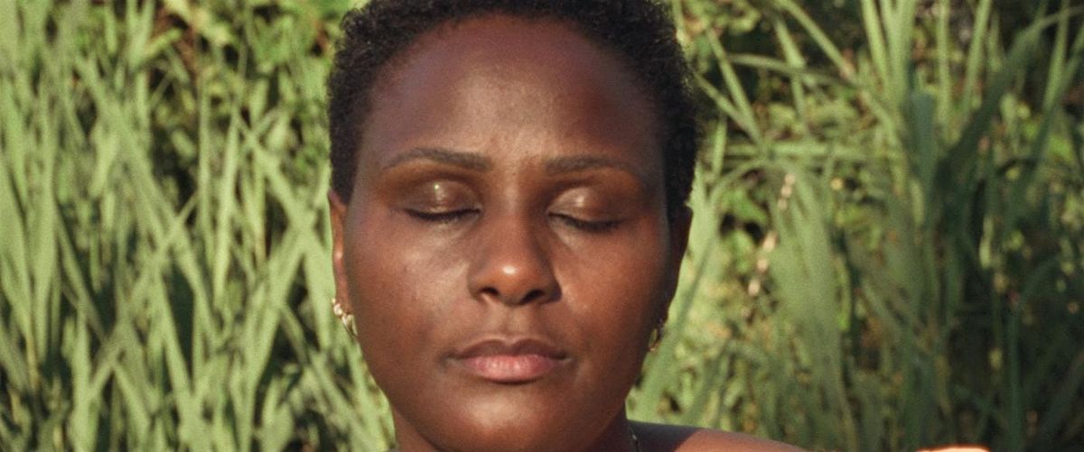 Selecci\u00f3n de cortometrajes - Ciclo de cine "Ra\u00edces en foco"