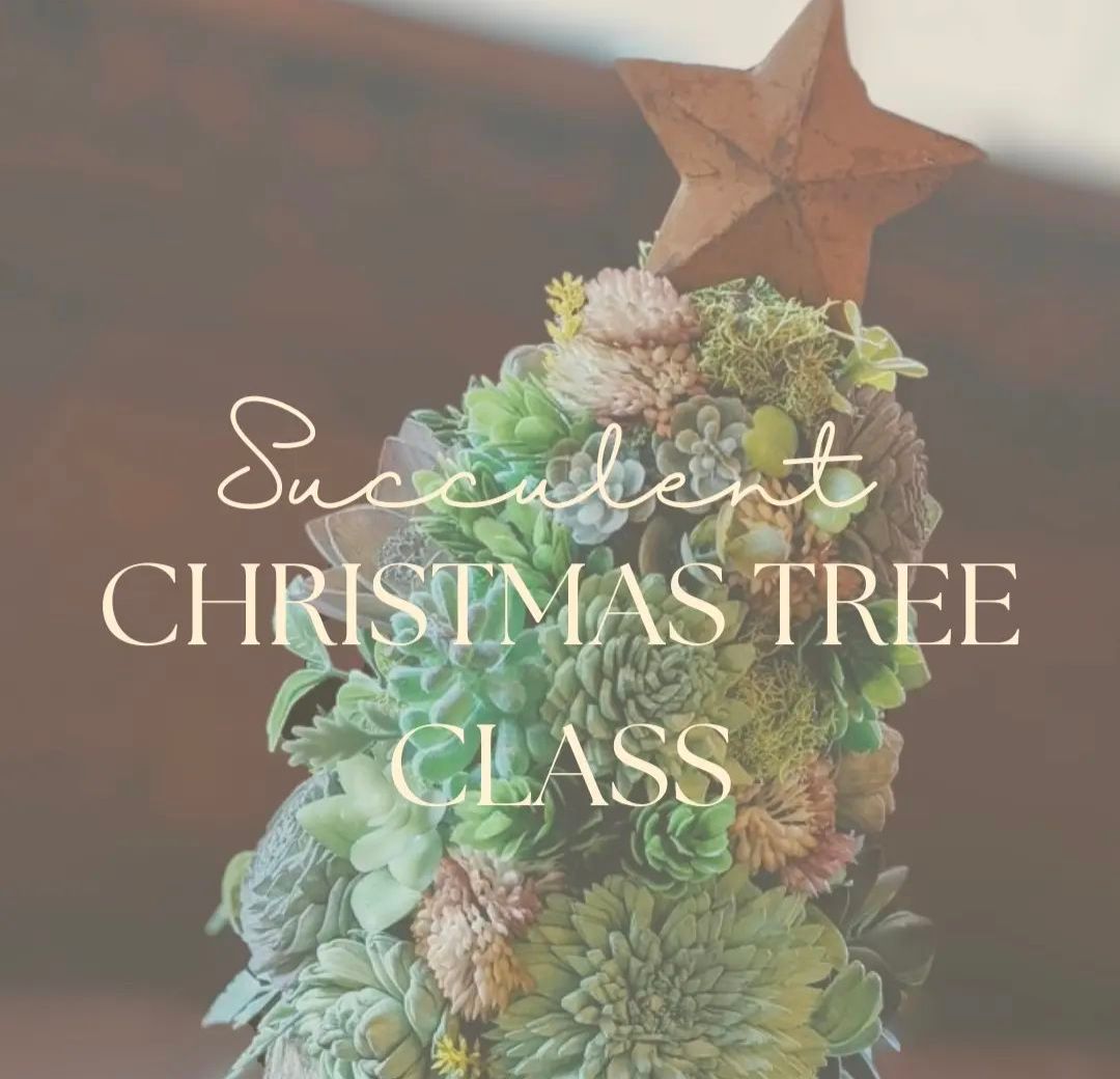 Succulent Christmas Tree Class