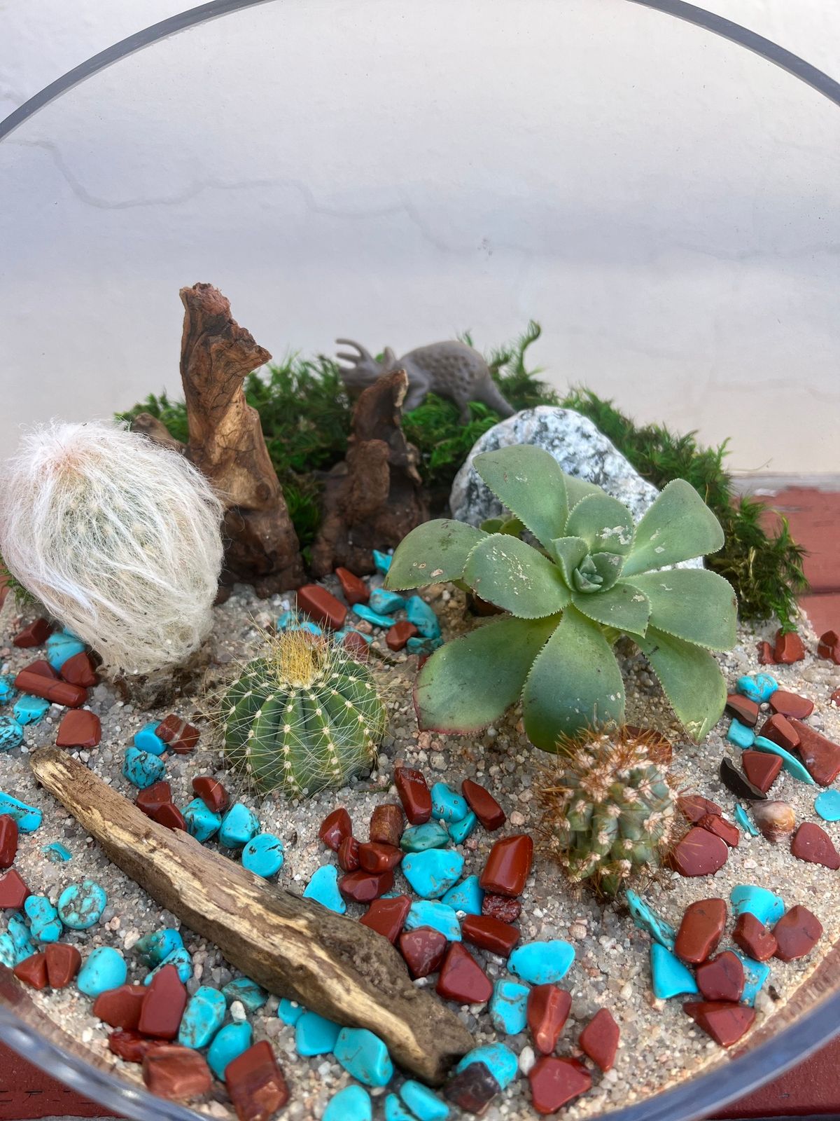 Desert Terrarium Workshop