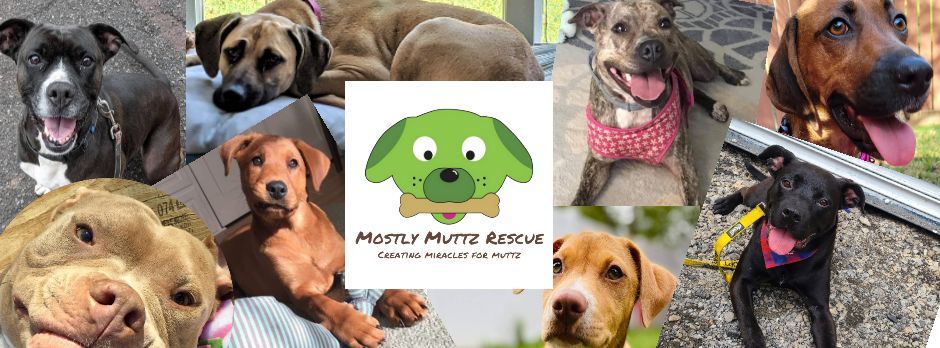 Meet the Muttz - Doggie Destination , Philadelphia Premium Outlets ...