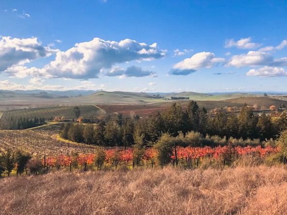 Hike Historic Tolay Lake Regional Park