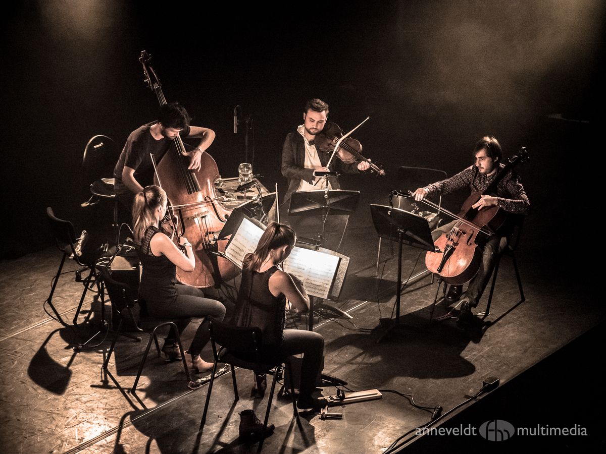 Feierabendkonzert Wooden Elephant spielt Bj\u00f6rk