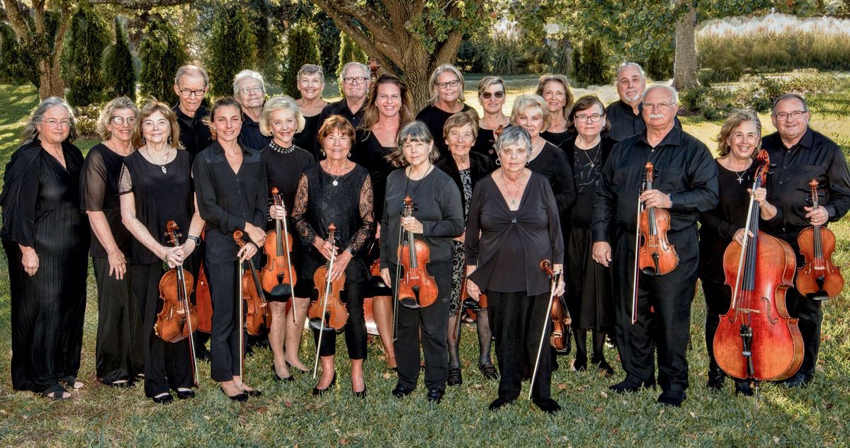 Saltwater Chamber Orchestra to Perform at the Horry County Museum