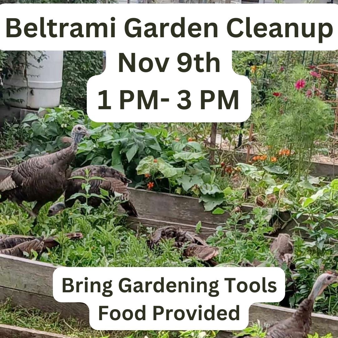 Beltrami Garden Cleanup