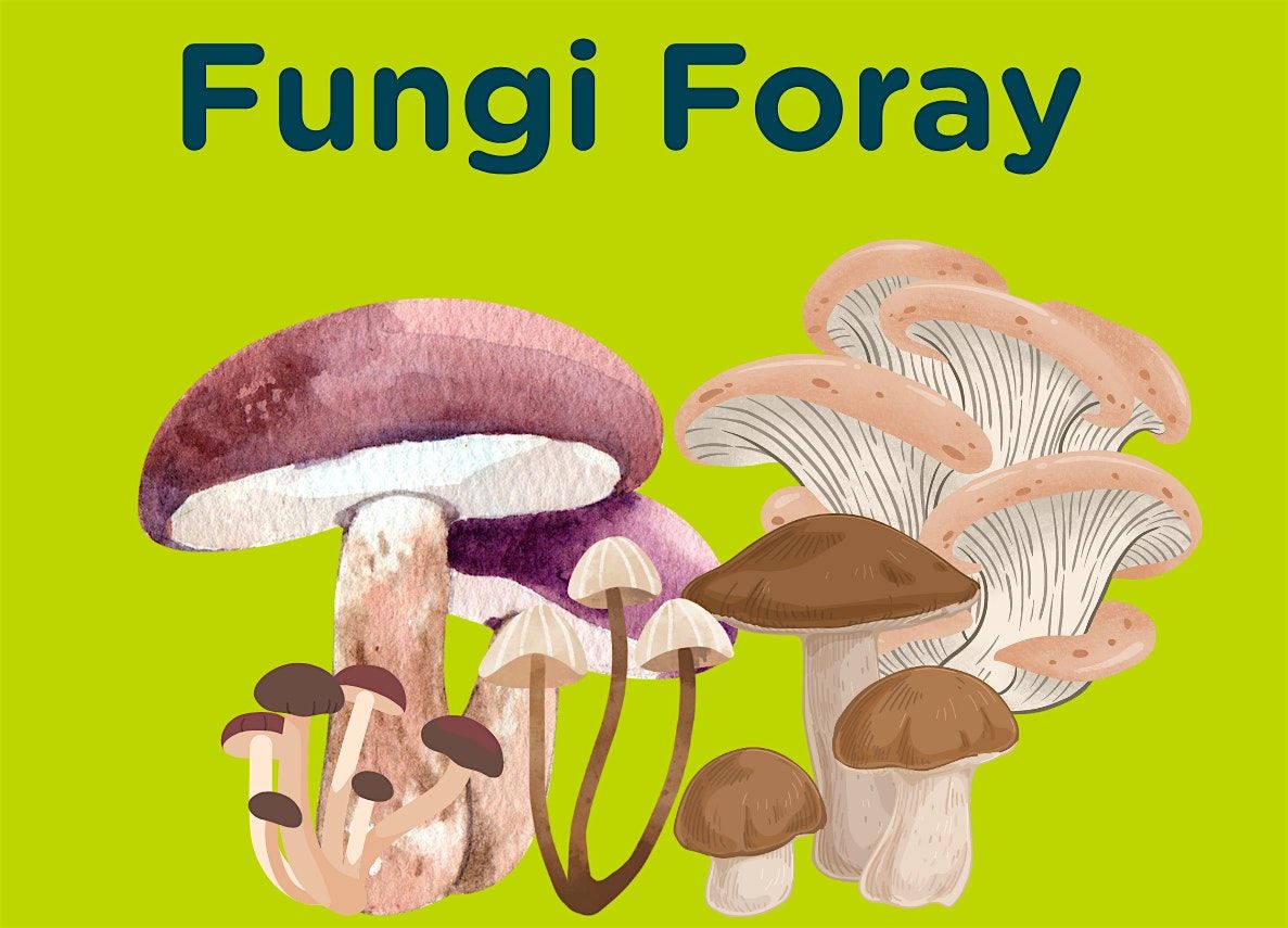 East Village E20 Fungi Foray!