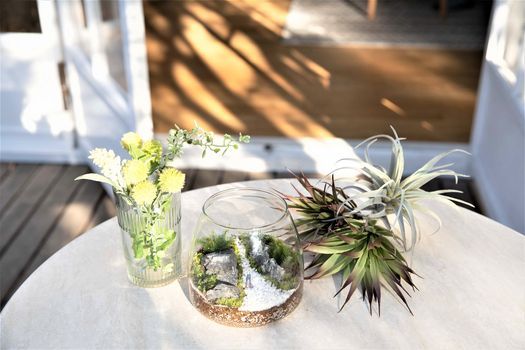 4月18日 10 30 苔テラリウム 初級ワークショップ Pin東京都港区新橋5丁目25 3 第2一松ビル4階 株 コンサイド内 Shinjuku 18 April 21 4月18日 10 30 苔テラリウム 初級ワークショップ Pin東京都港区新橋5丁目25 3 第2一松ビル4階 株 コンサイド内 Shinjuku 18 April 21