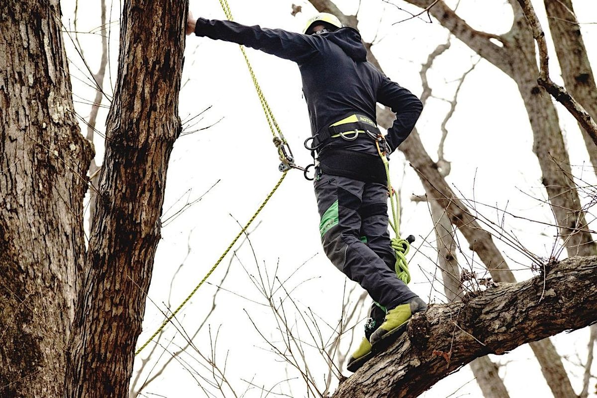 Arborist Training - Central IL