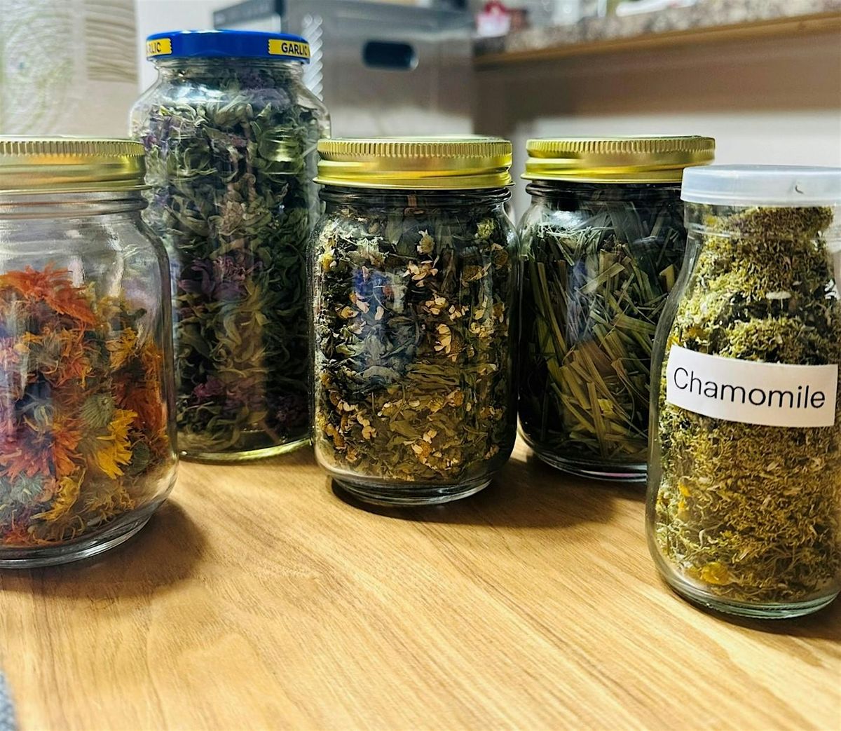 Spring Herbal Wellness: Immune Support & Allergy Relief