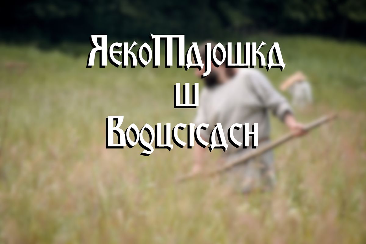 RekoMaj\u00f3wka w Bogucicach 2025