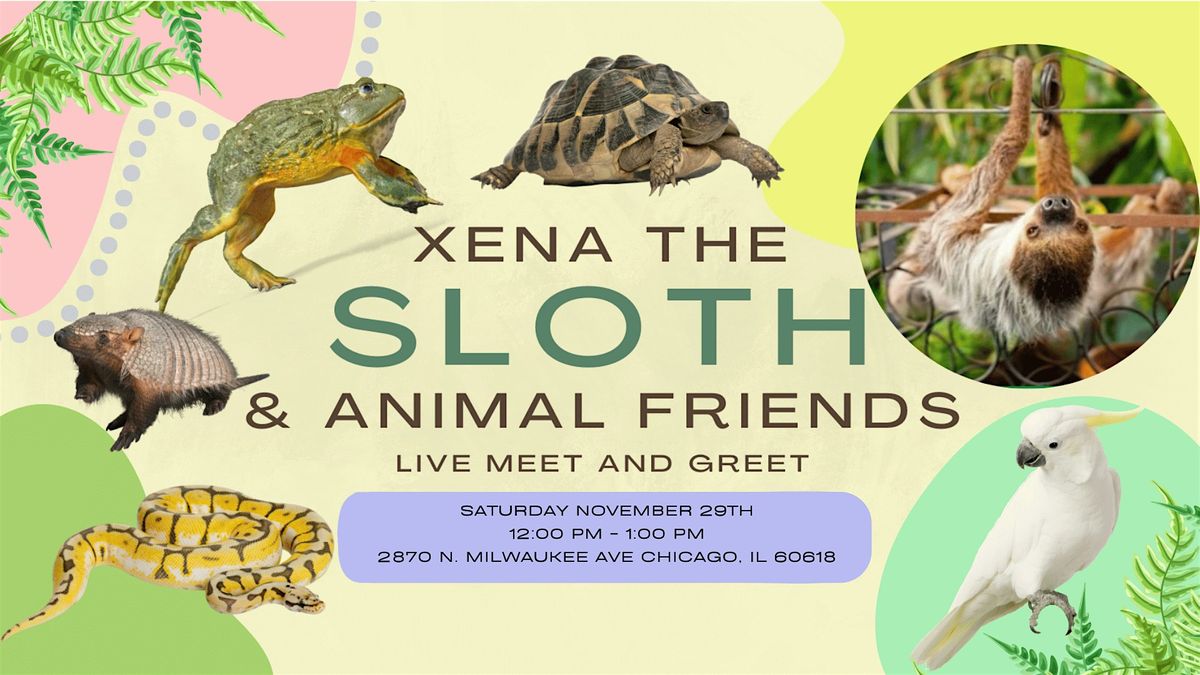 Meet & Greet w\/ Xena the Sloth & Her Animal Friends