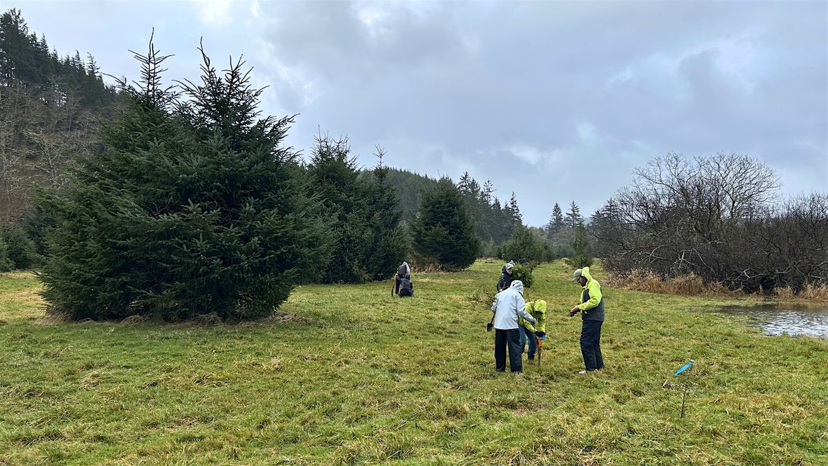 Celebrate the Solstice with Stewardship