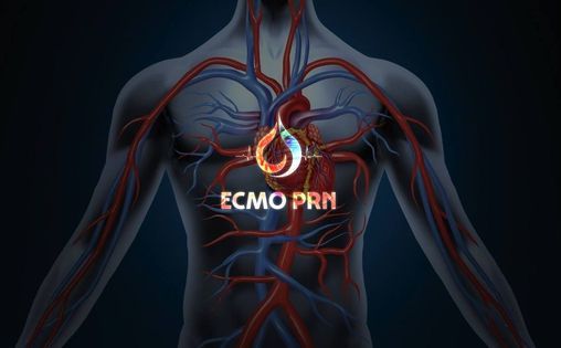 Introduction to ECMO