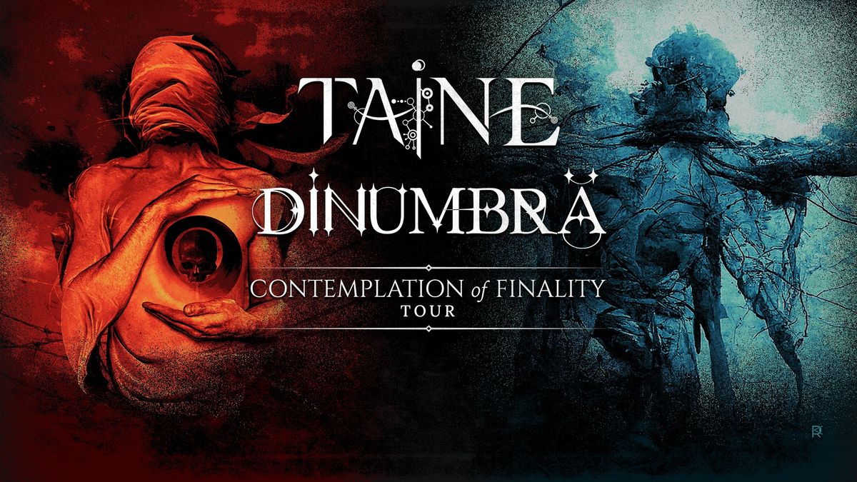 TAINE + DINUMBR\u0102 | Rocknrolla Iasi