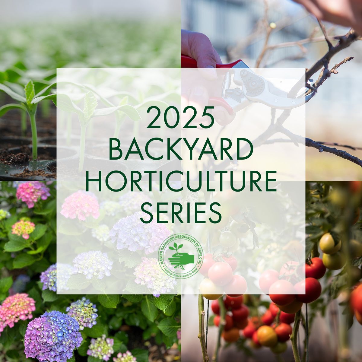 Backyard Horticulture Classes - Harwich