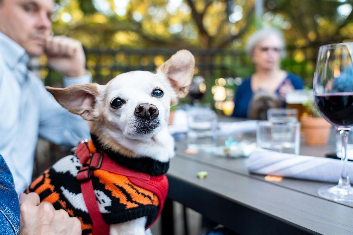 Paws on The Patio to benefit Charleston Animal Society