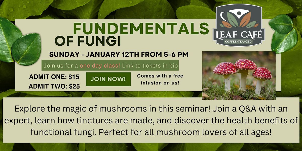 Fundamentals of Fungi! An explanation of mushrooms