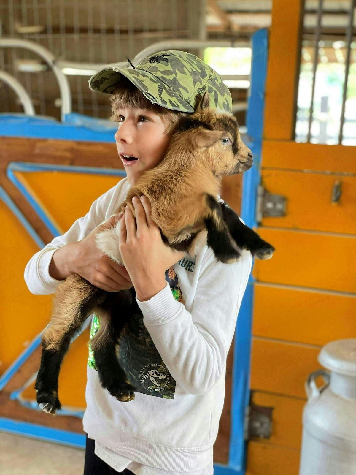 Baby Goats Snuggle, Piglets Social, Farm Animals Feeding, Ranch Tours