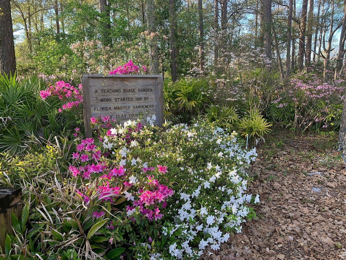 2025 Gardening Day of Education- Clay County Master Gardeners