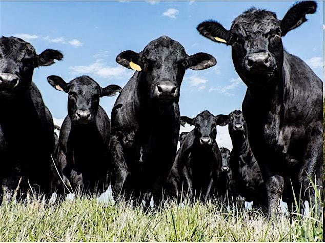 Restoration and Sustainability of Rangelands in Changing Environments