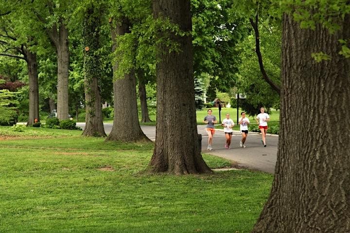 Celebrating Louisville's Urban Forest Master Plan