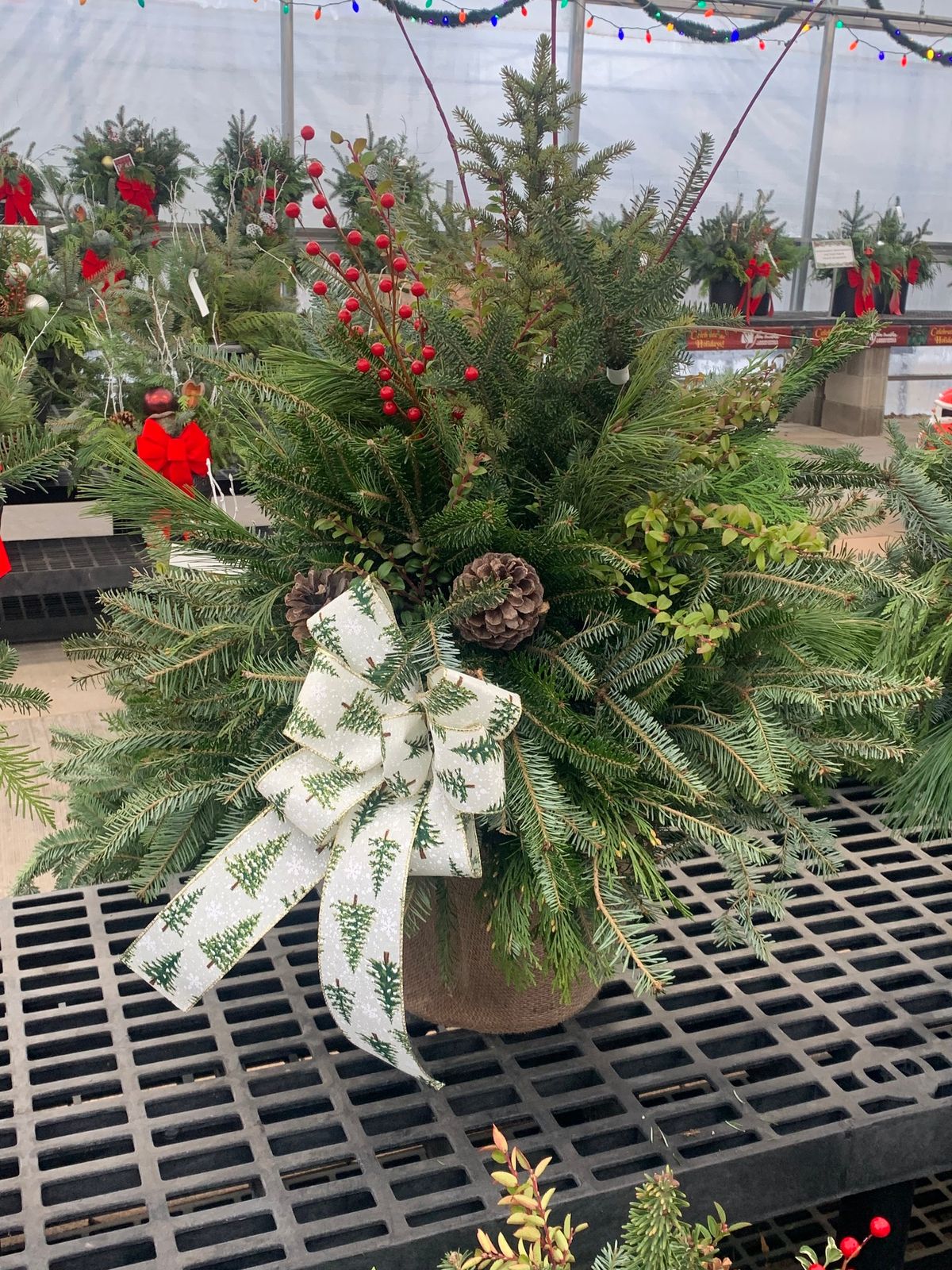 Winter Porch Pot Class!