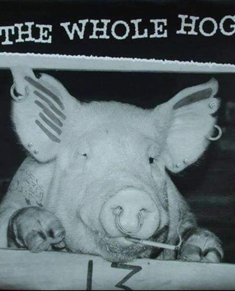 WHOLE HOG @TheOldFox \ud83e\udd8a