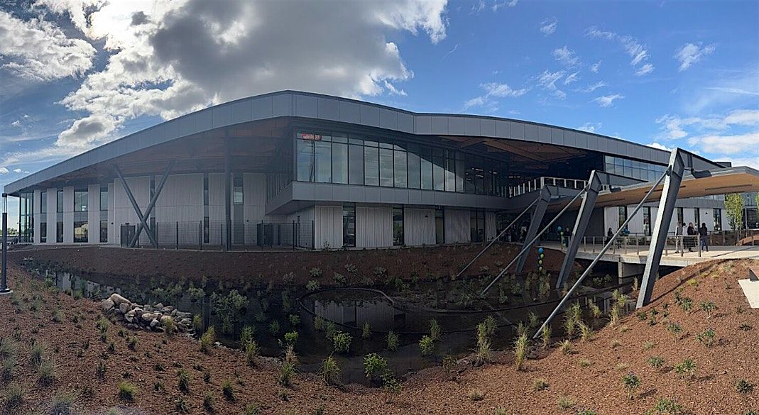 Michigan Mass Timber in Design
