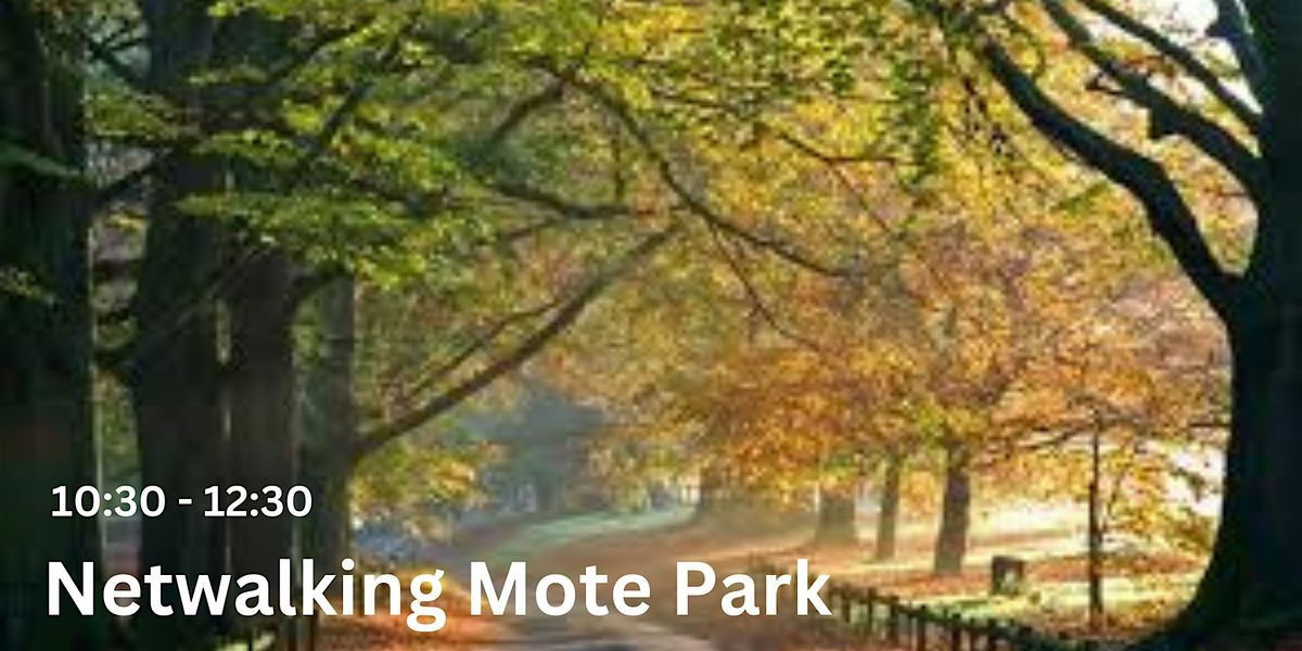 Maidstone Netwalking - Mote Park