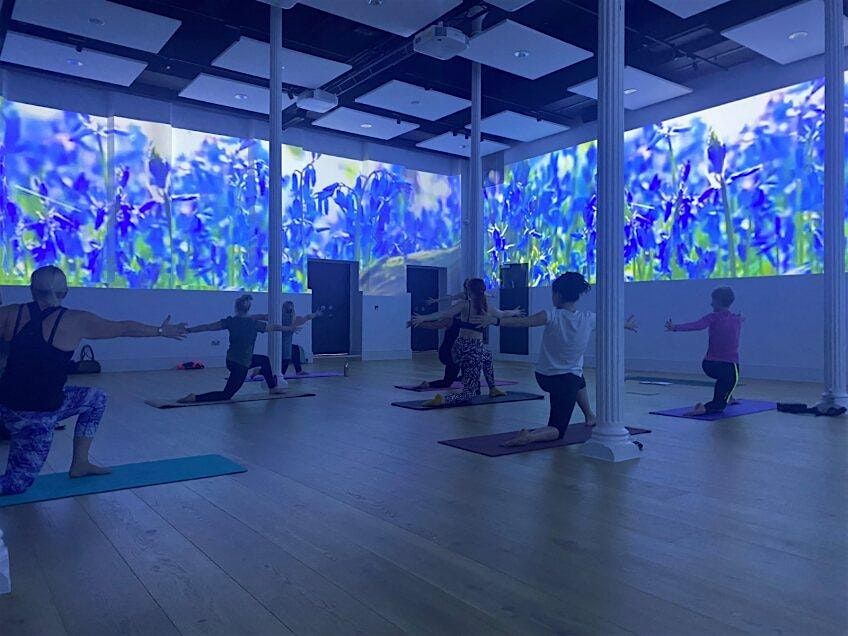 Immersive Yoga - single ticket January - February 2025