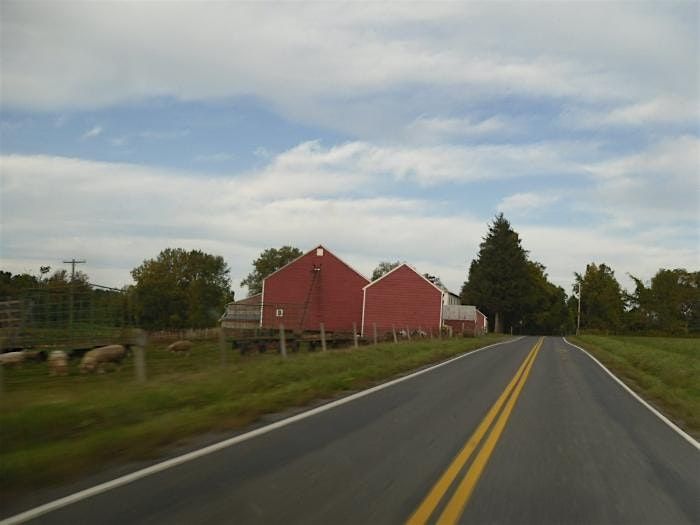 An Exciting Scavenger Hunt! - Schoharie Shenanigans Scavenger Hunt
