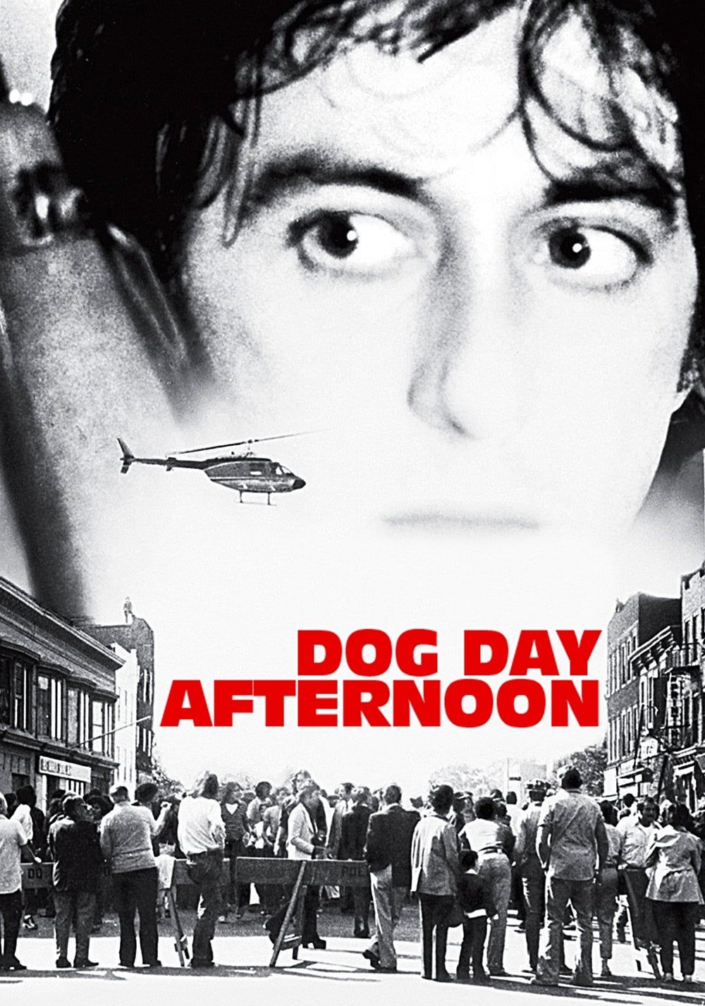 Dog Day Afternoon - Film