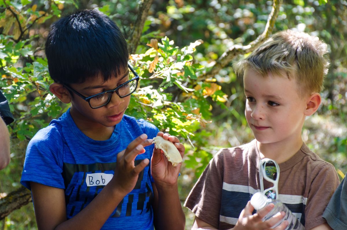 Nature's Classroom- Homeschool Field Trip