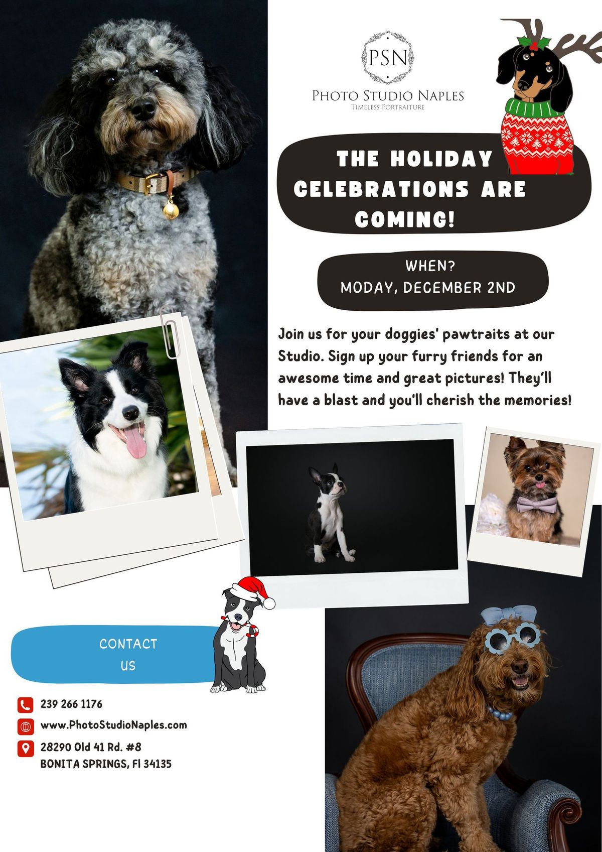 HOLIDAY PET MINI SESSIONS