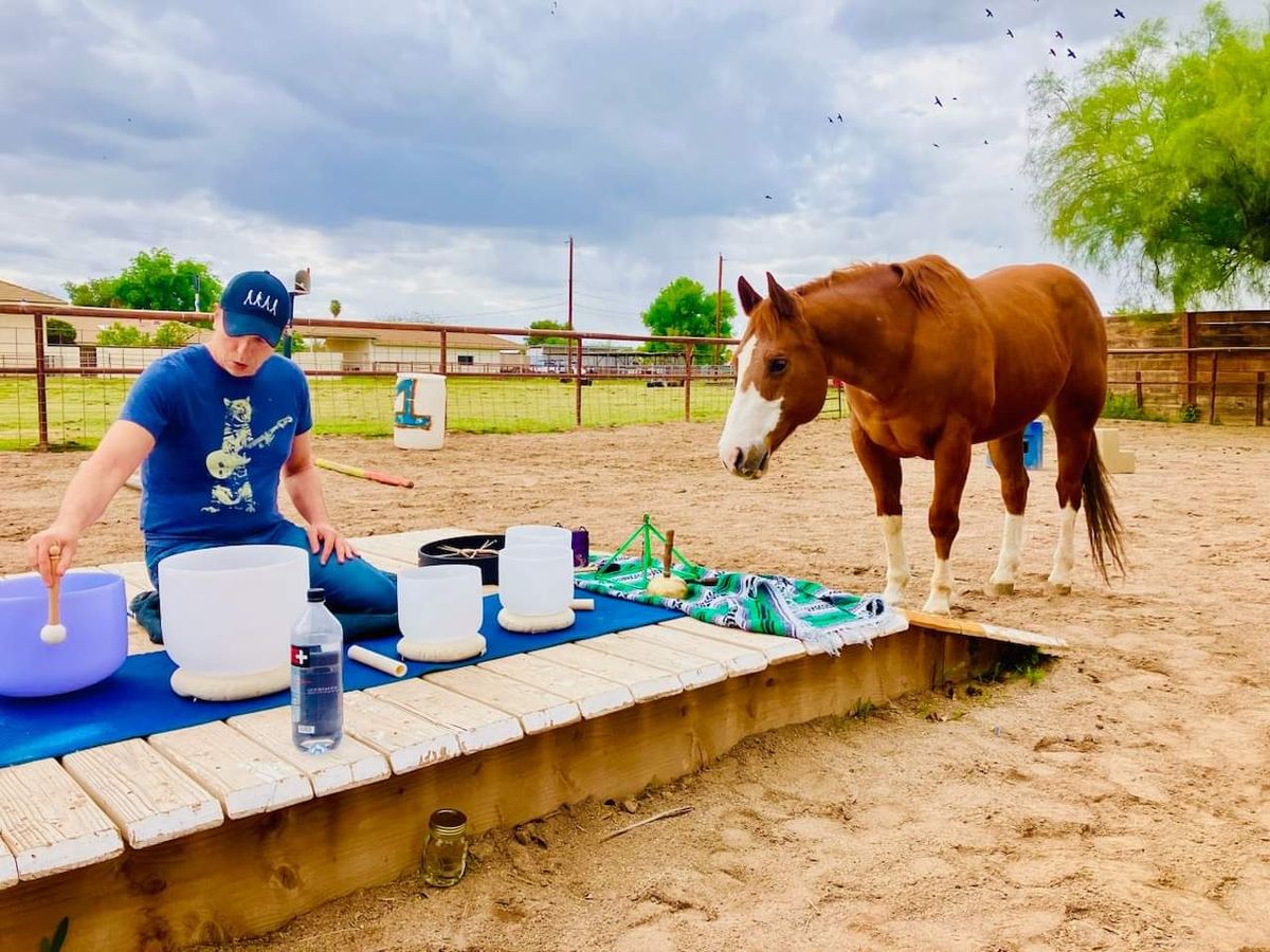 Sound Bath Meditation with Horses