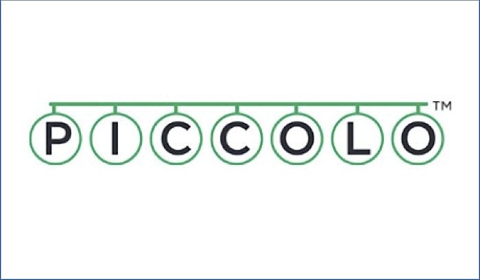 PICCOLO: Measuring developmental parenting for effective home visits