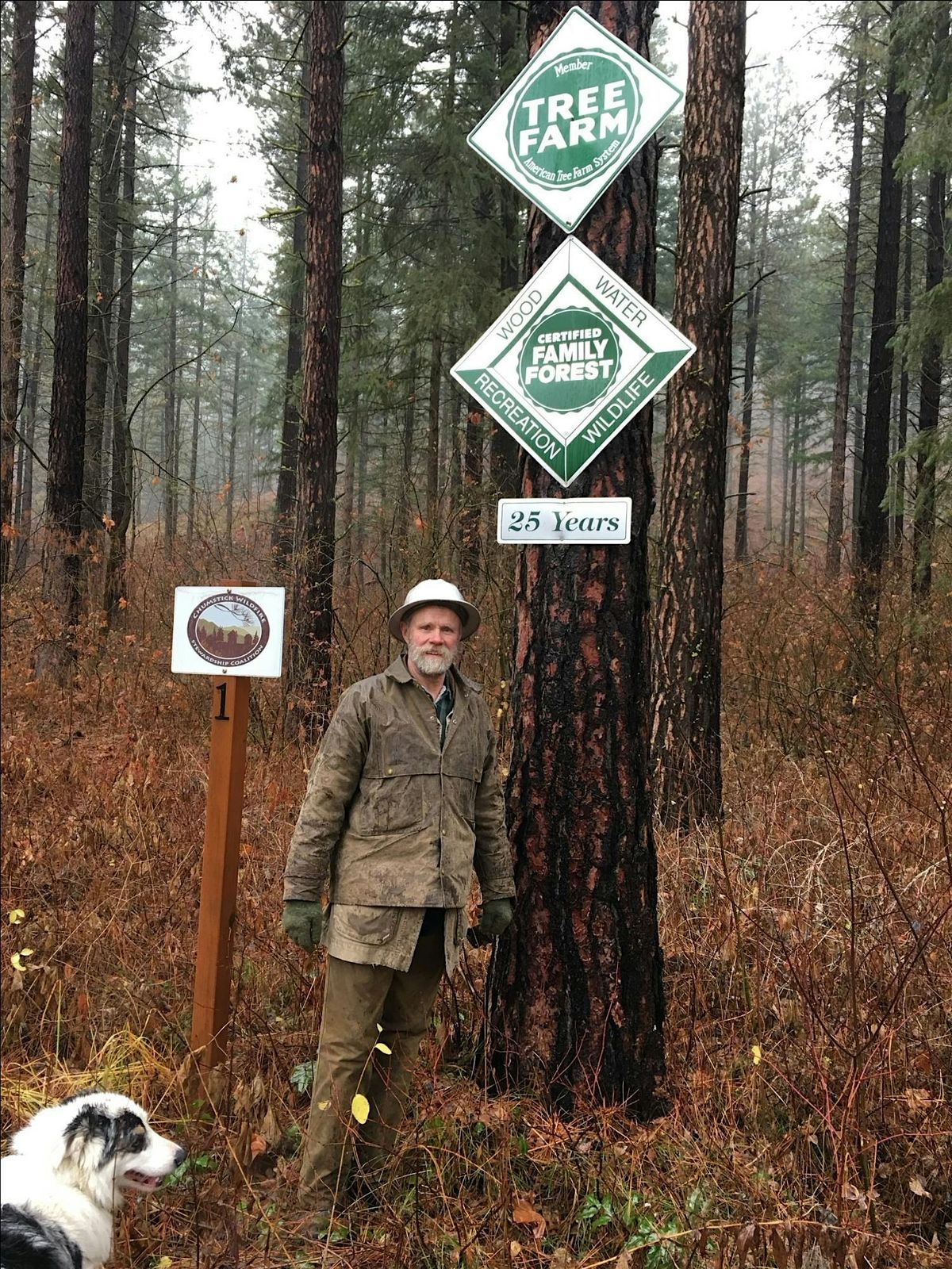 What Family Forest Owners Ought to Know