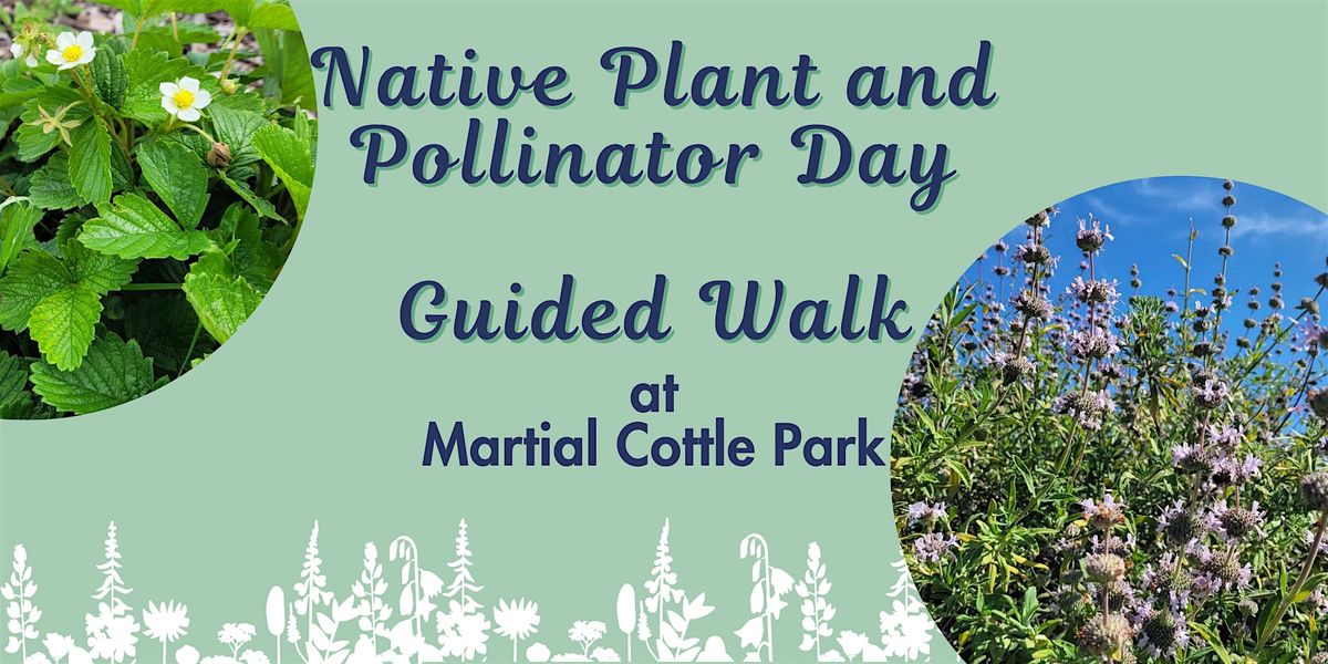 Native Plant and Pollinator Day Walk