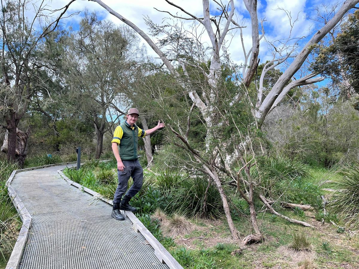 Ranger Walks- Guided Sanctuary Tour